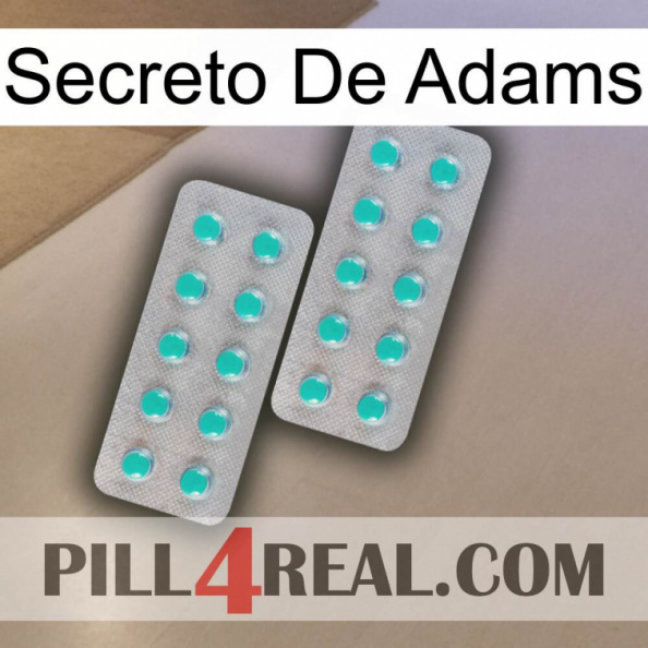 Adams Secret 29.jpg